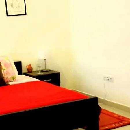 Amra 사라예보